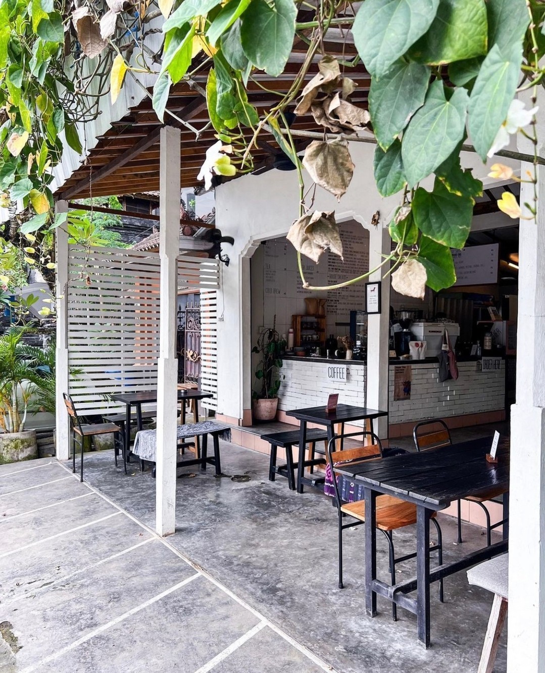 Cafe patio with overhead green vines, white wooden slats, black tables, and an open coffee bar area with a white-bricked backdrop.