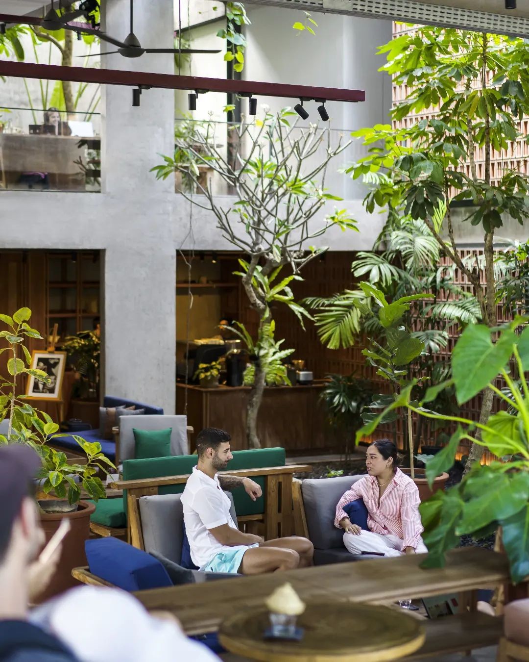 Spacious cafe with tall trees, hanging greenery, and wood detailing, overlooking a comfortable seating area.
